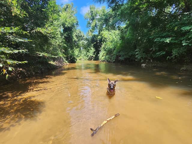 Moores Creek Park - Image 1