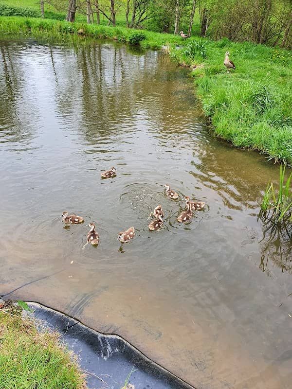 Kleiner Weiher - Image 1