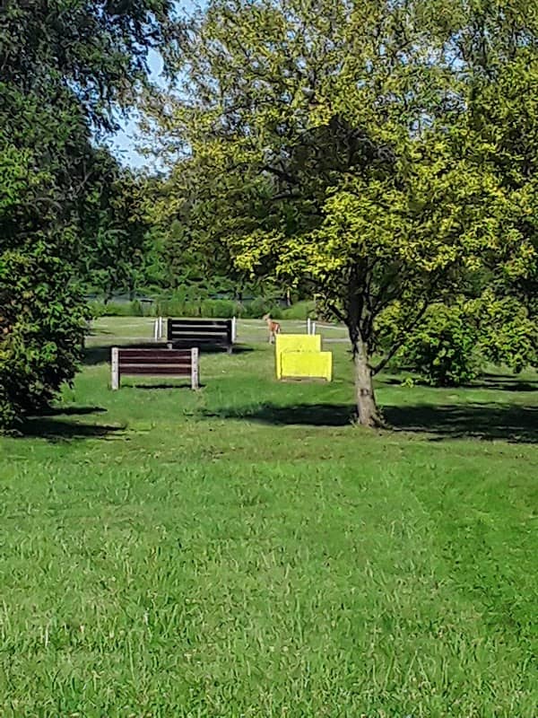 Cardinal Greenway Mansfield Park Trailhead - Image 2