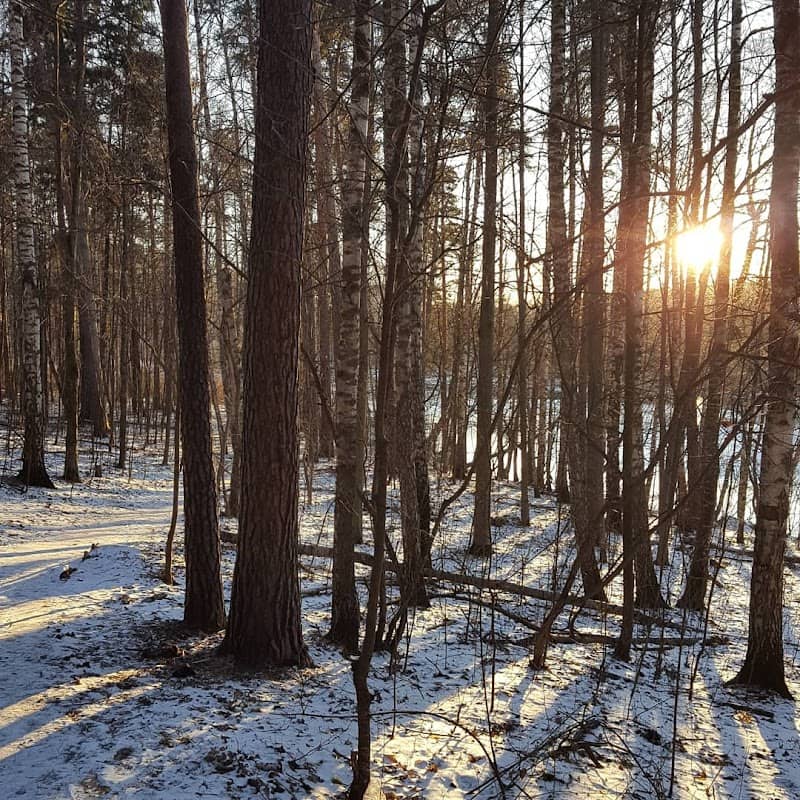 Gorensky Forest Park - Image 1