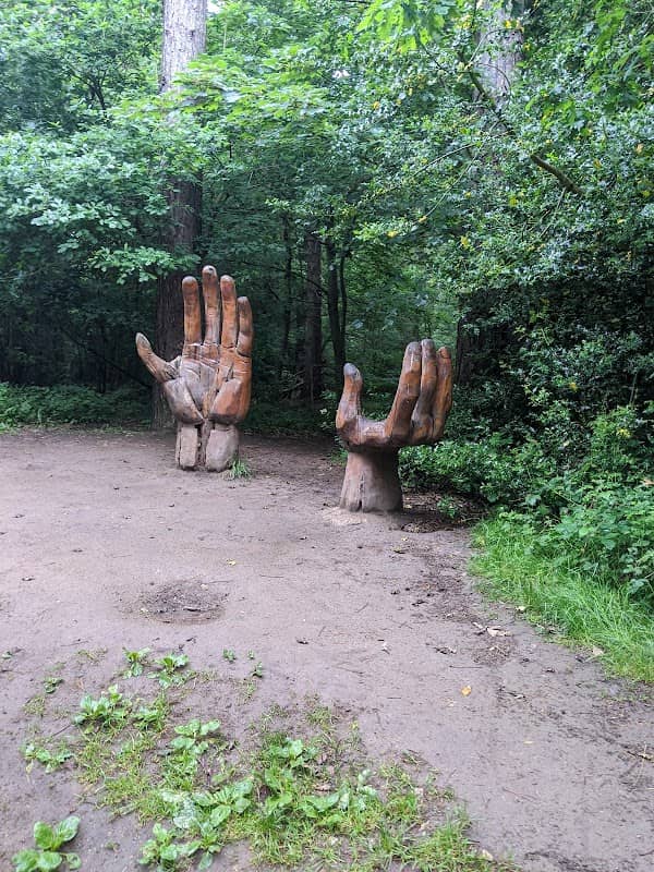 Chopwell Wood, The Hands - Image 1