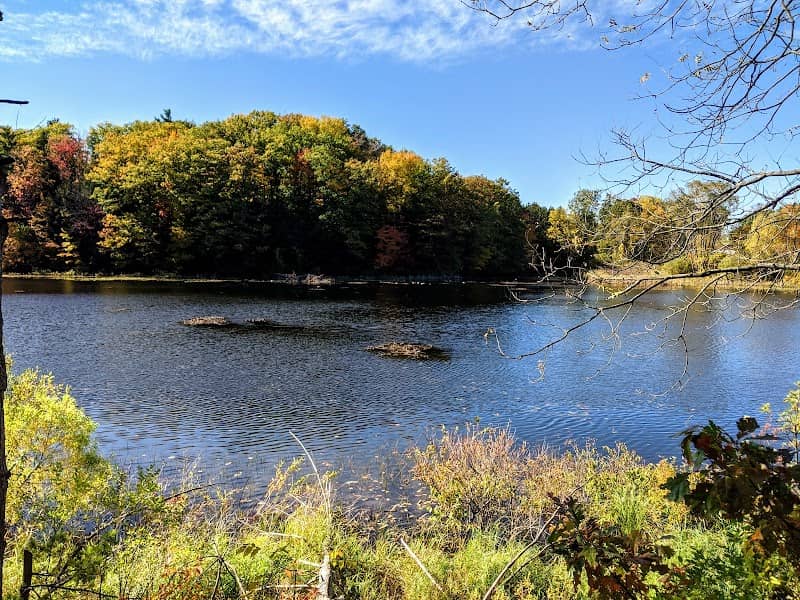 Silver Lake Recreation Area - Image 3