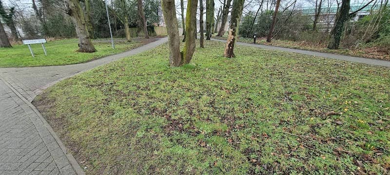 Crocus Area - Image 2