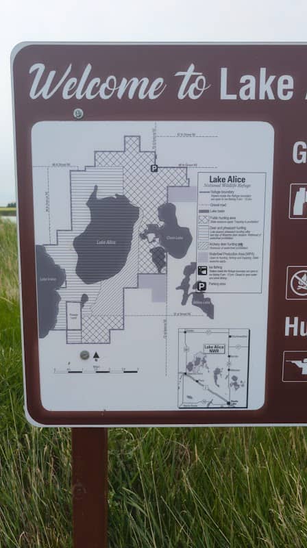Lake Alice National Wildlife Refuge - Image 1