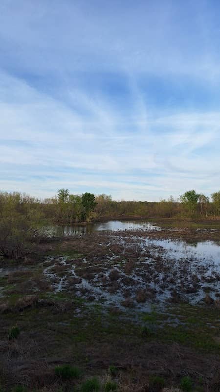 North Waterfowl management area - Image 2