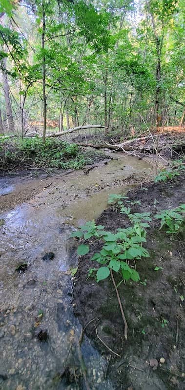 Barness Park nature trail - Image 1