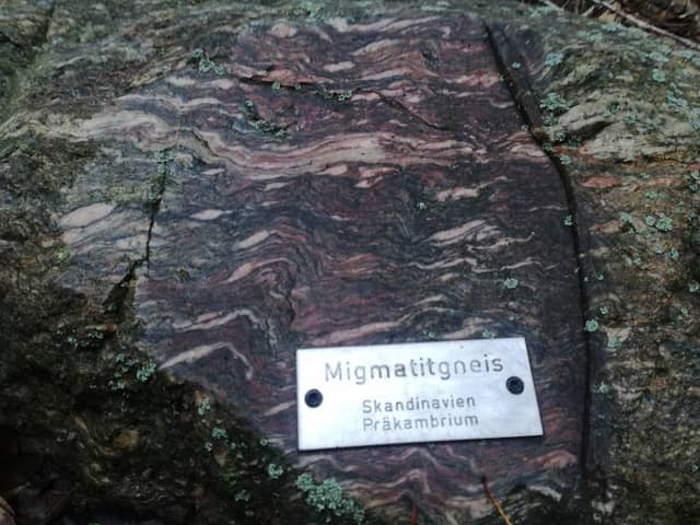 Stadtwald Senftenberg - Image 1