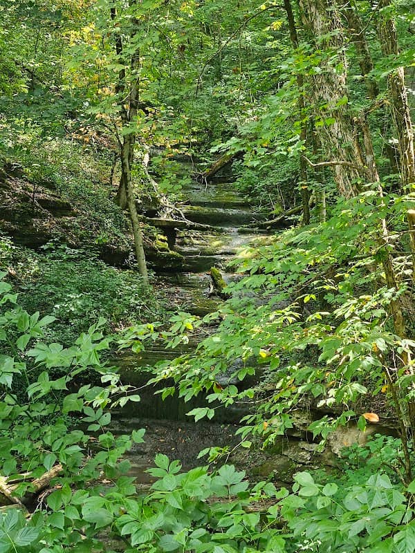 Coffee Springs Falls - Image 2