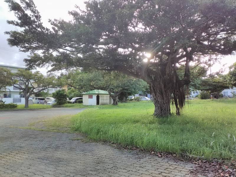 Angel Park - Image 1