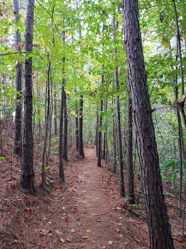 Mt Tabor Park - Image 2