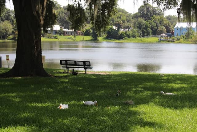 Isabella Park - Image 2