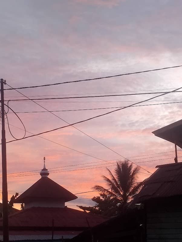 Spot toman lepas - Image 1