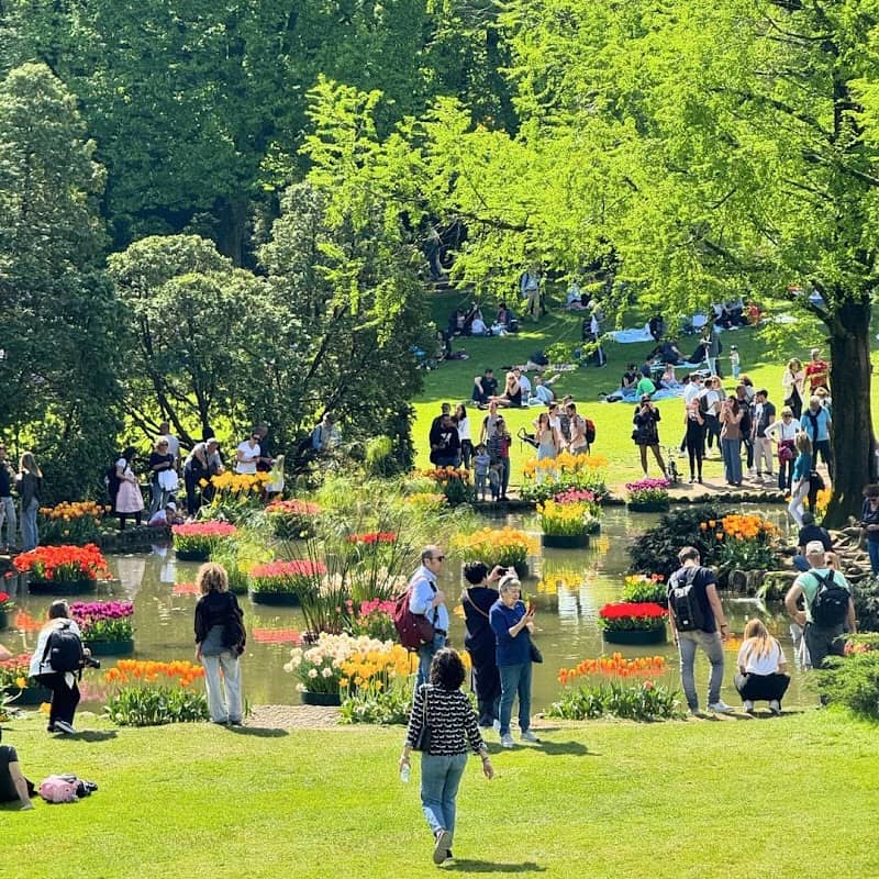 Viale delle aiuole fiorite - Image 3