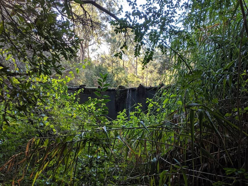 Avondale Dam - Image 2