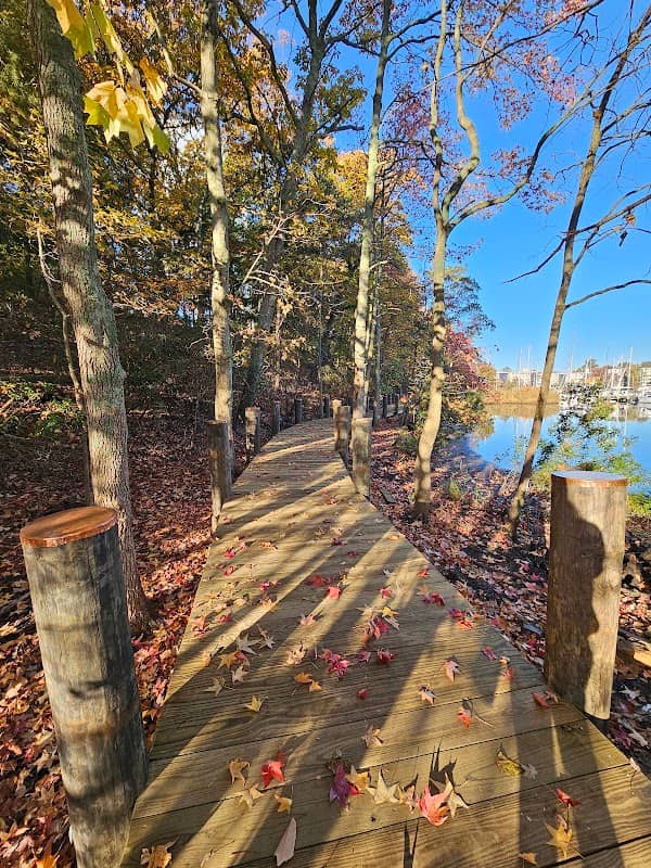 Ellen O Moyer Nature Park - Image 2