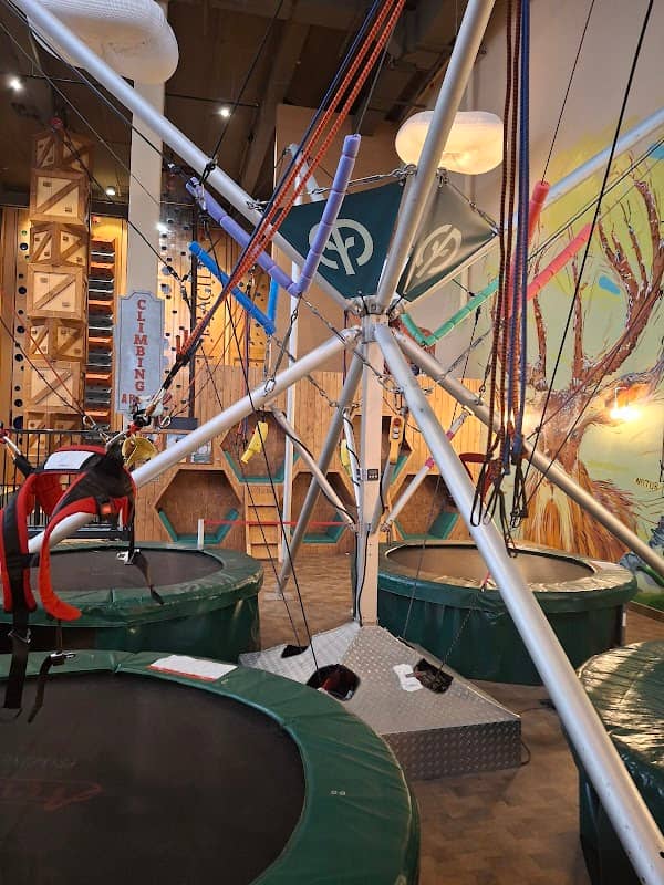 Indoor Bungee Trampolin - Image 1