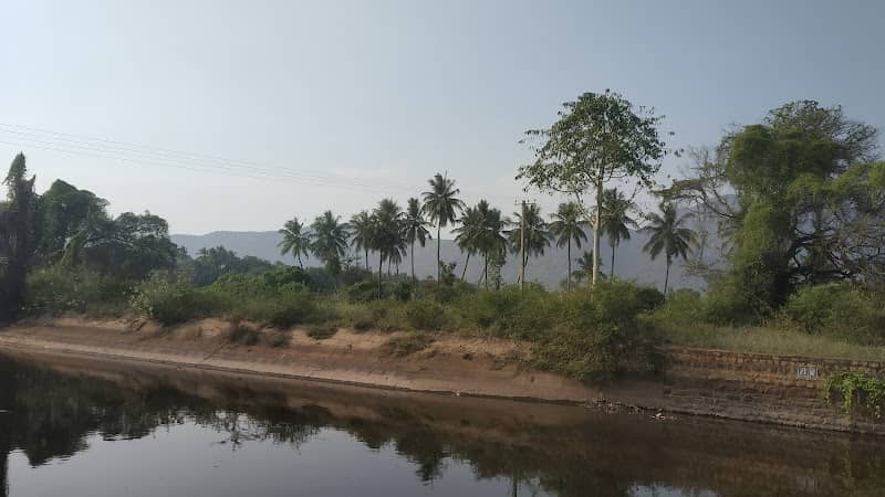 Allanganallur falls - Image 1