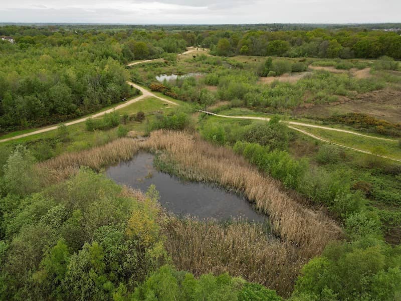 Cockaynes Wood - Image 1