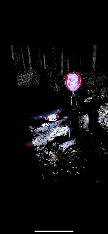 The Decaying Swamp - Image 1