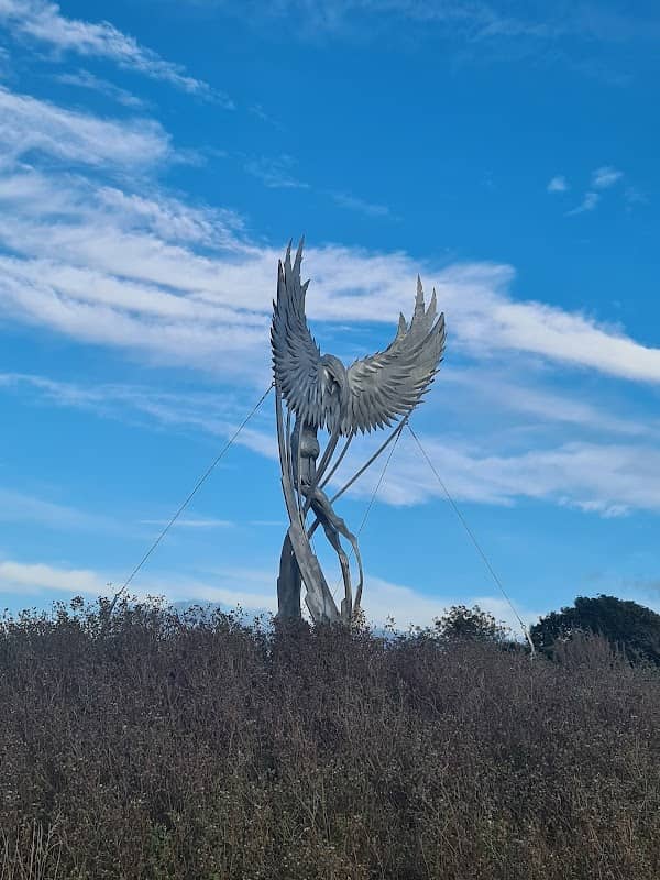 Daedalus Common - Image 1
