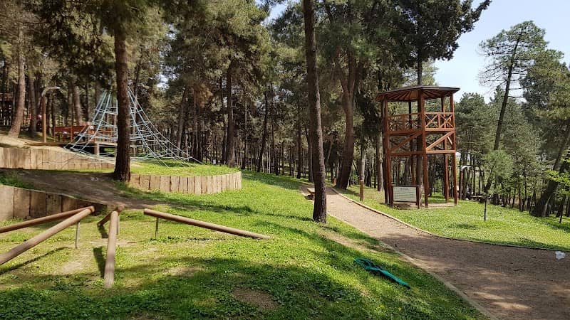 Şirintepe Pine Grove Park - Image 2