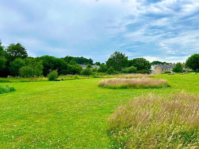 Highfield Community Orchard - Image 1