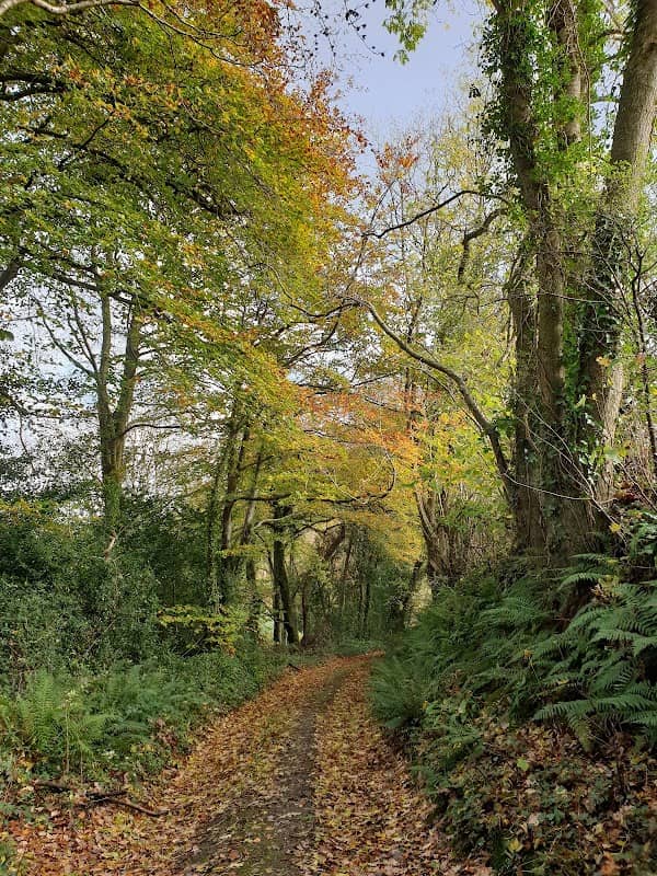Devonshire Park - Image 2