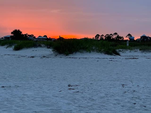 Bird Island - Image 2