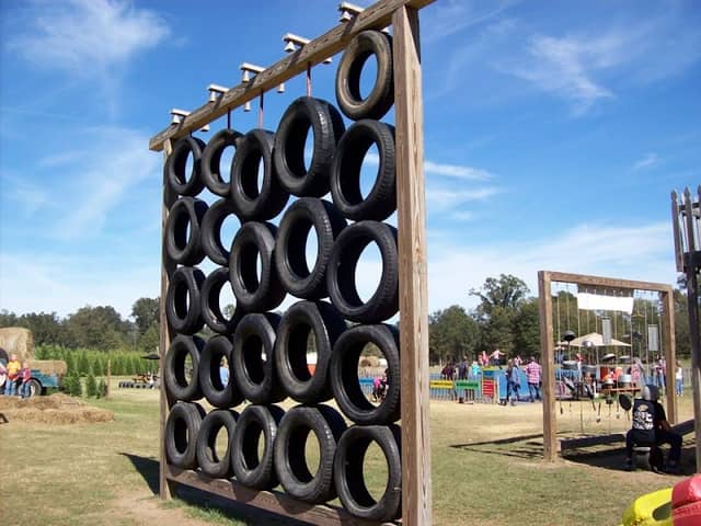 Suzanne's Fruit Farm - Image 2