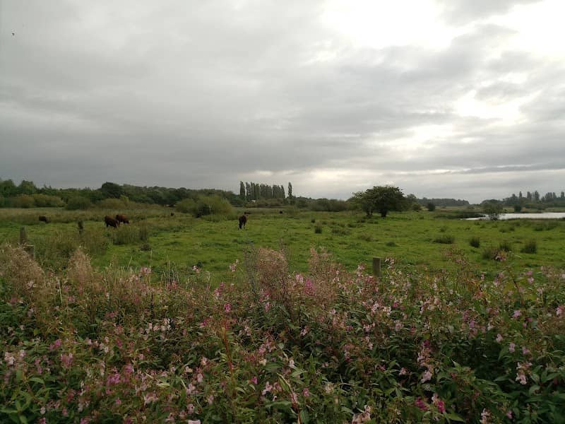 Abram Nature Reserve - Image 2