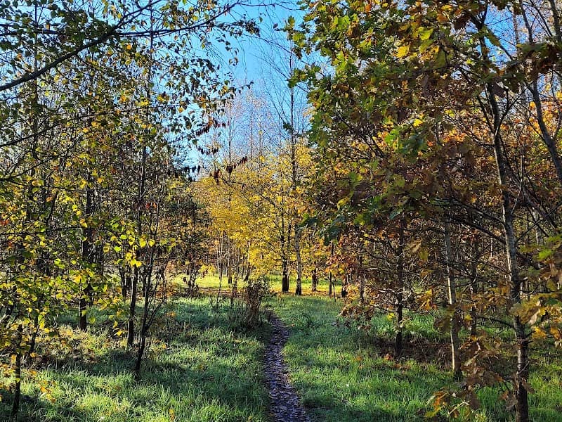 Abram Nature Reserve - Image 1