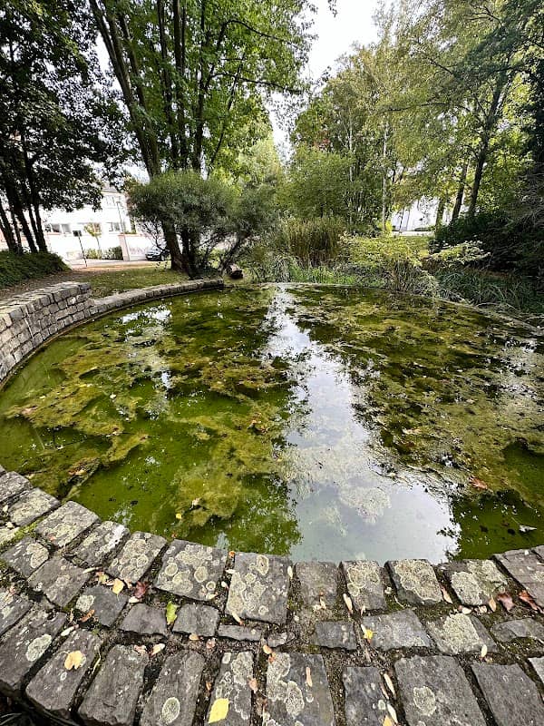 Königsbornquelle - Image 1