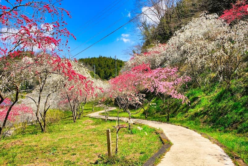 Yumewatano Park - Image 1