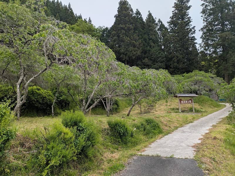 Yumewatano Park - Image 2