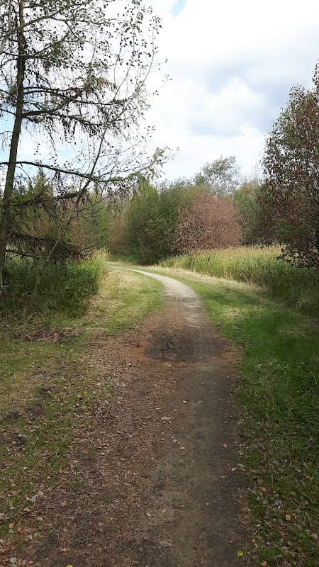 Victoria Fields - Image 2