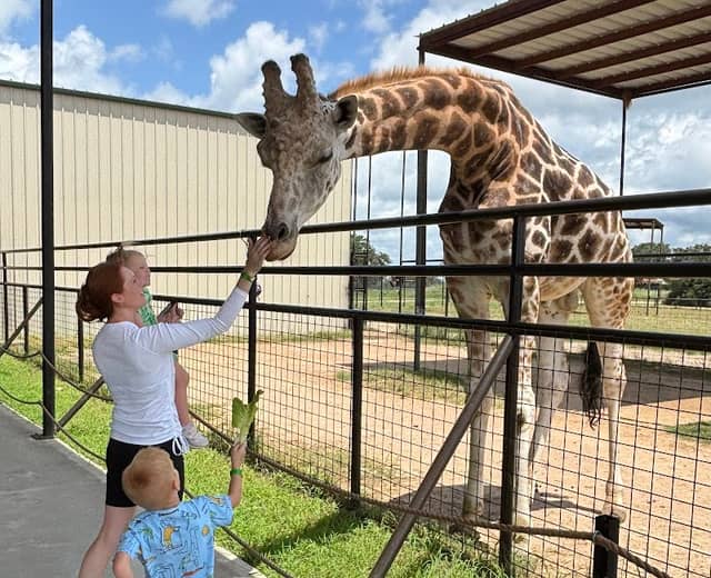 Aggieland Safari - Image 1