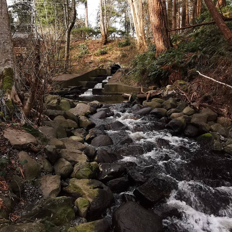 Mack Laing Nature Park - Image 2
