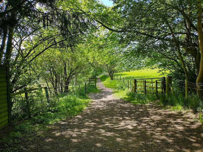 Bluebell Wood Loop - Image 1