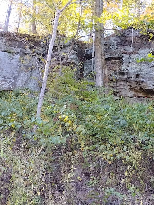 Wayne National Forest - Image 1