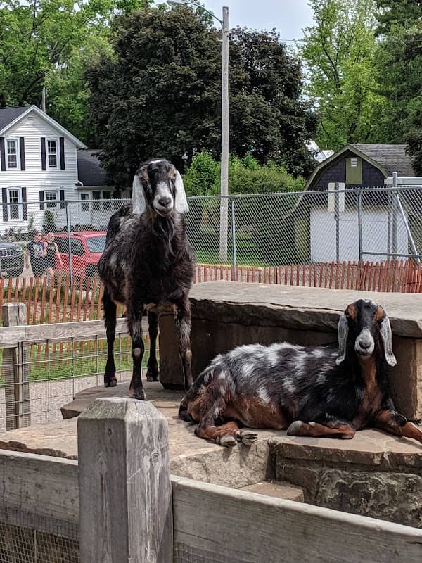 Ochsner Park Zoo - Image 1
