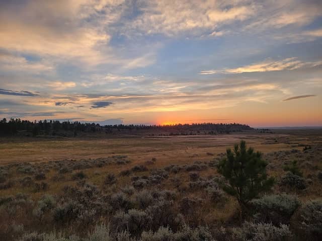 Acton Recreation Area - Image 2