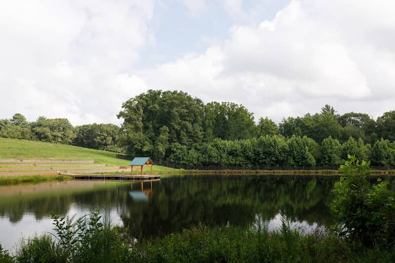 Gracefield Meadows - Image 1