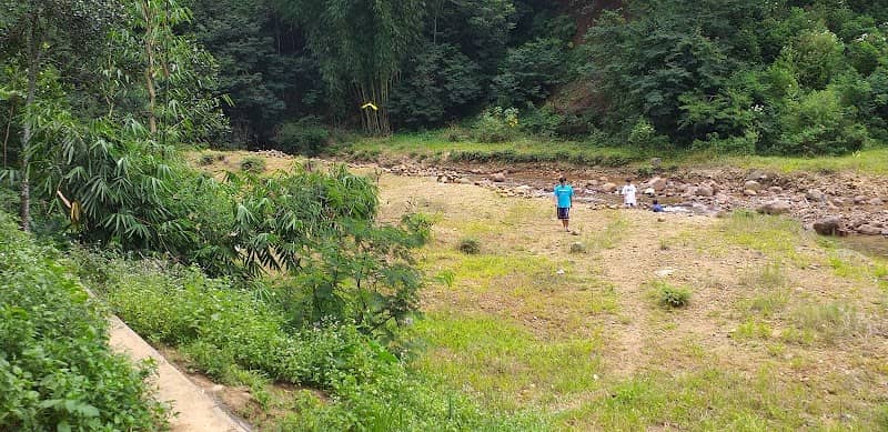 air terjun pine avenue - Image 3