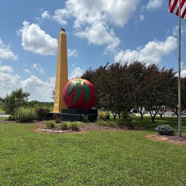Big Peach - Image 1