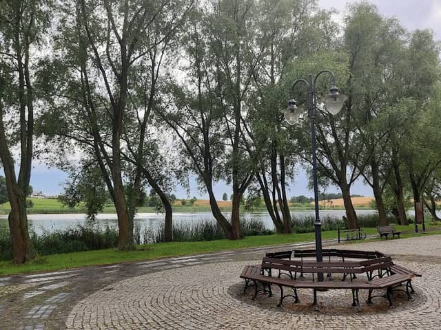 Park miejski - Image 2