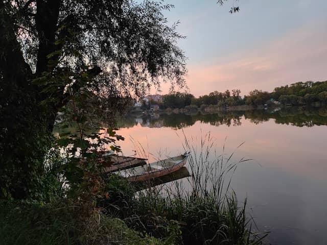 Park miejski - Image 1