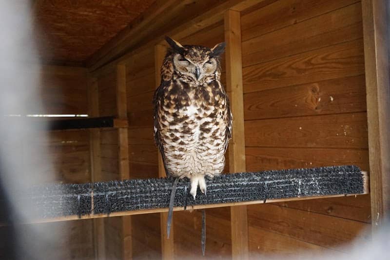 The Hawking Centre - Image 1