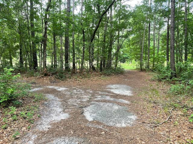 Laurel Hill County Park Trailhead - Image 2