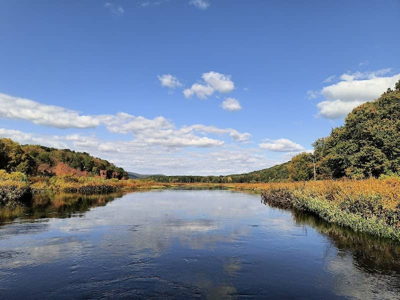Bashakill Wildlife Management Area - Image 3