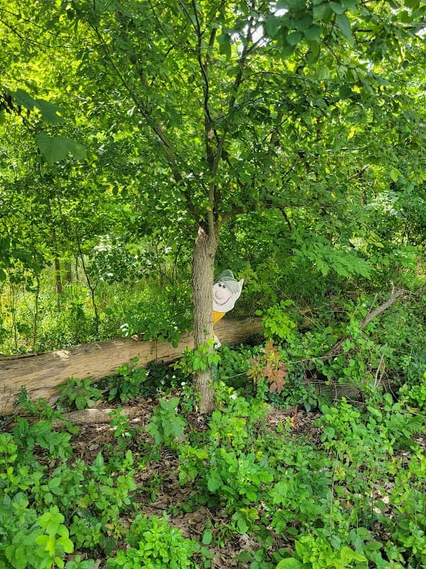 Jerry Russell Trail - Image 1